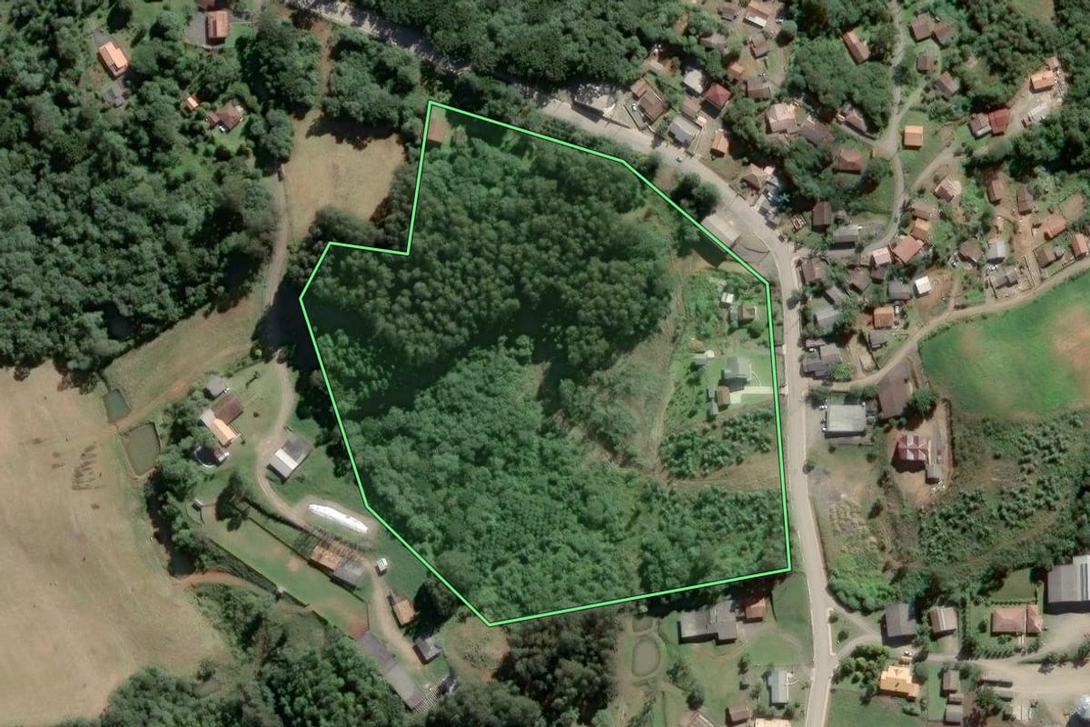 Imagem de satélite do imóvel rural em Piên (PR), com o contorno declarado no CAR desenhado por cima.