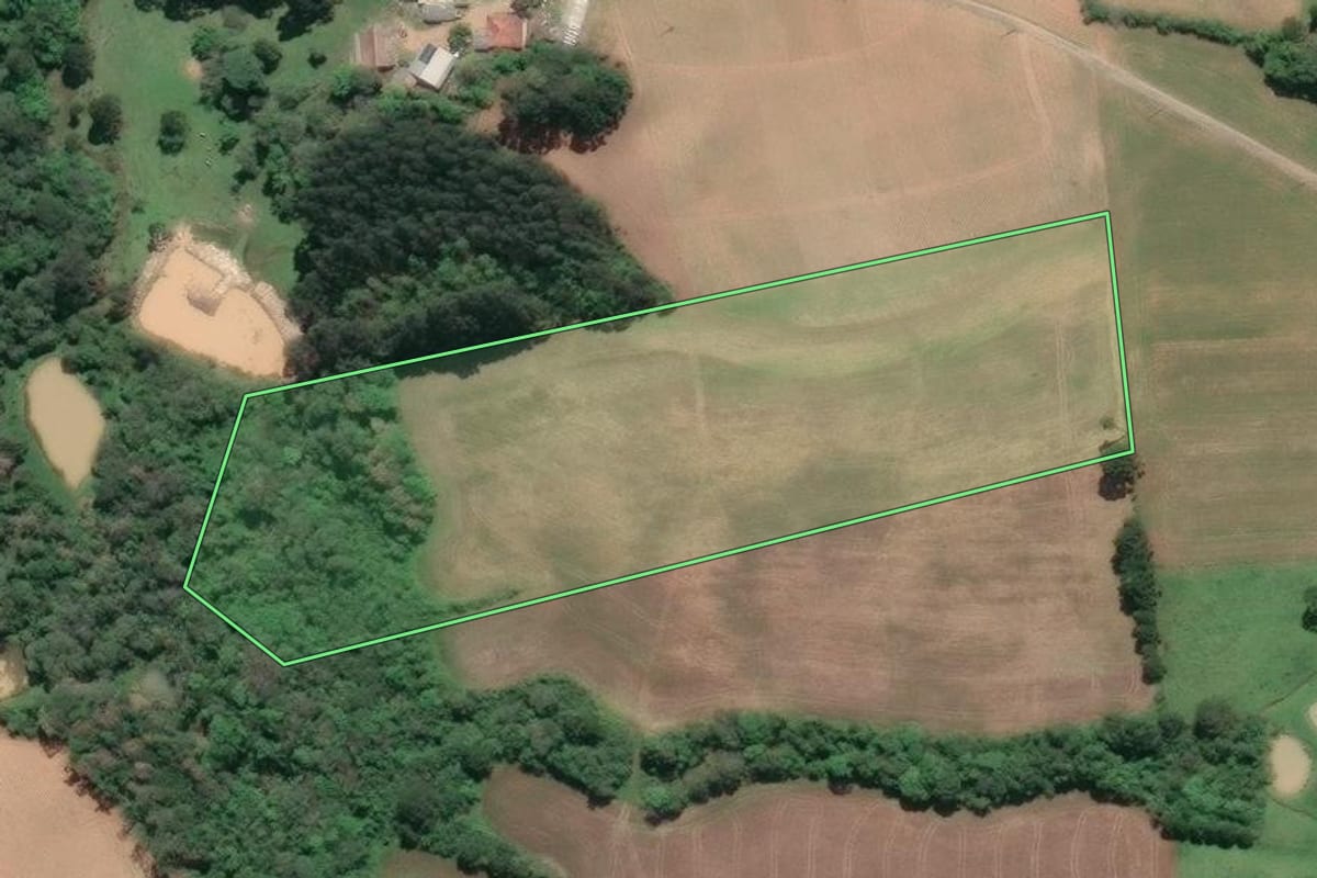 Imagem de satélite do imóvel rural em Piên (PR), com o contorno declarado no CAR desenhado por cima.