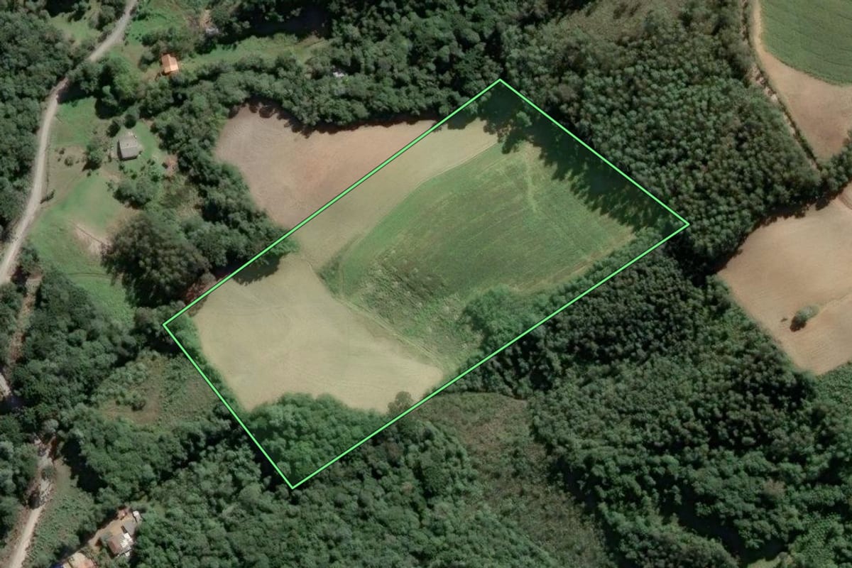 Imagem de satélite do imóvel rural em Piên (PR), com o contorno declarado no CAR desenhado por cima.