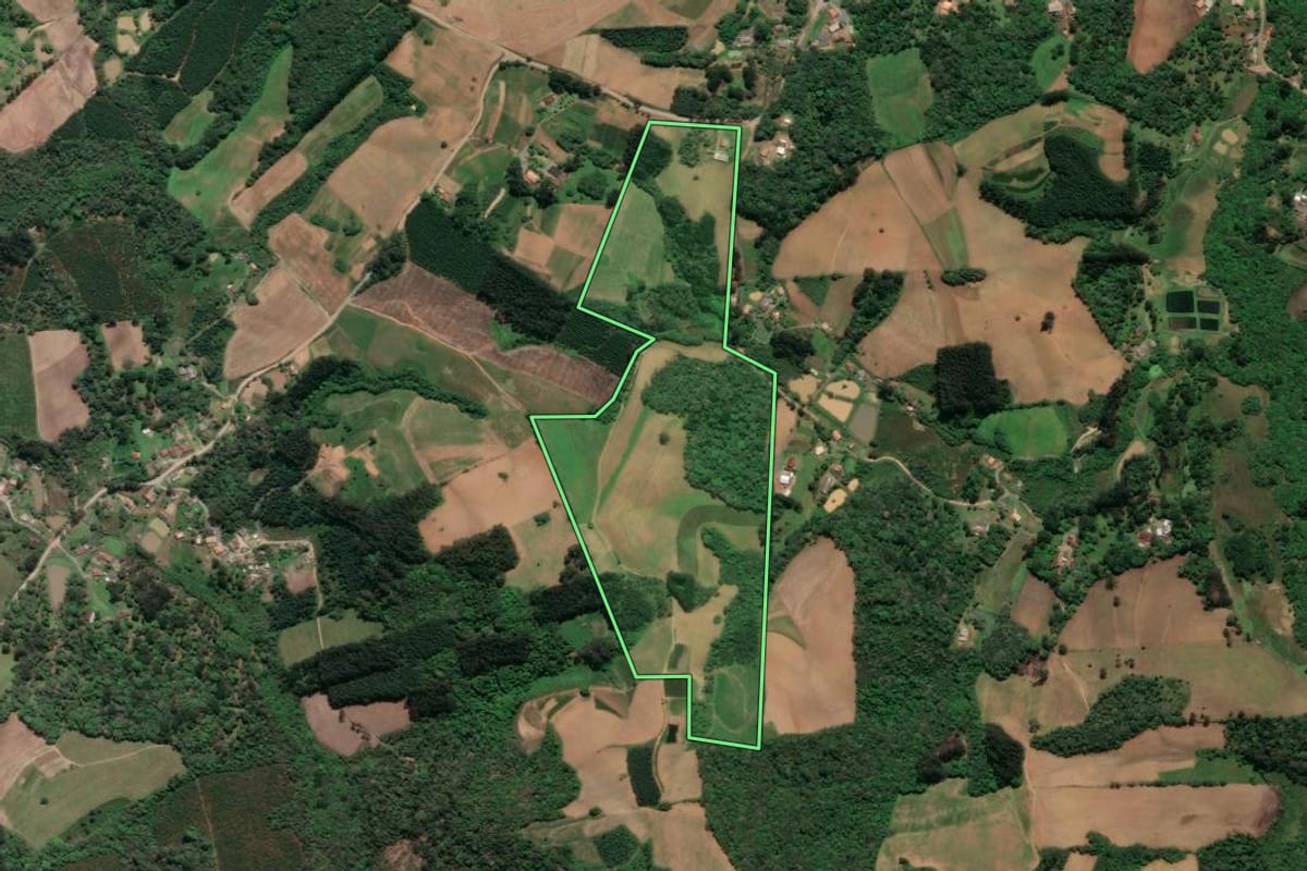 Imagem de satélite do imóvel rural em Piên (PR), com o contorno declarado no CAR desenhado por cima.