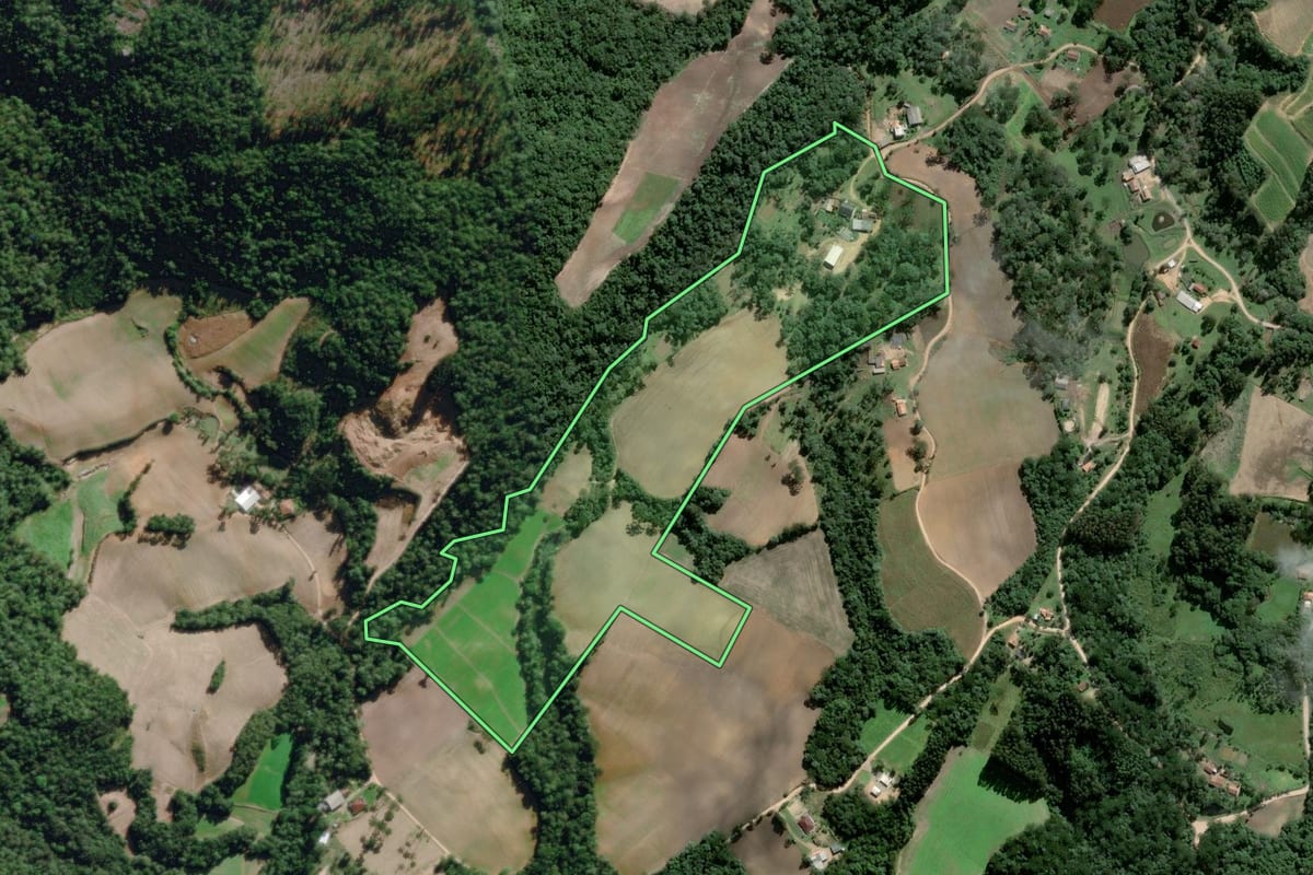 Imagem de satélite do imóvel rural em Piên (PR), com o contorno declarado no CAR desenhado por cima.