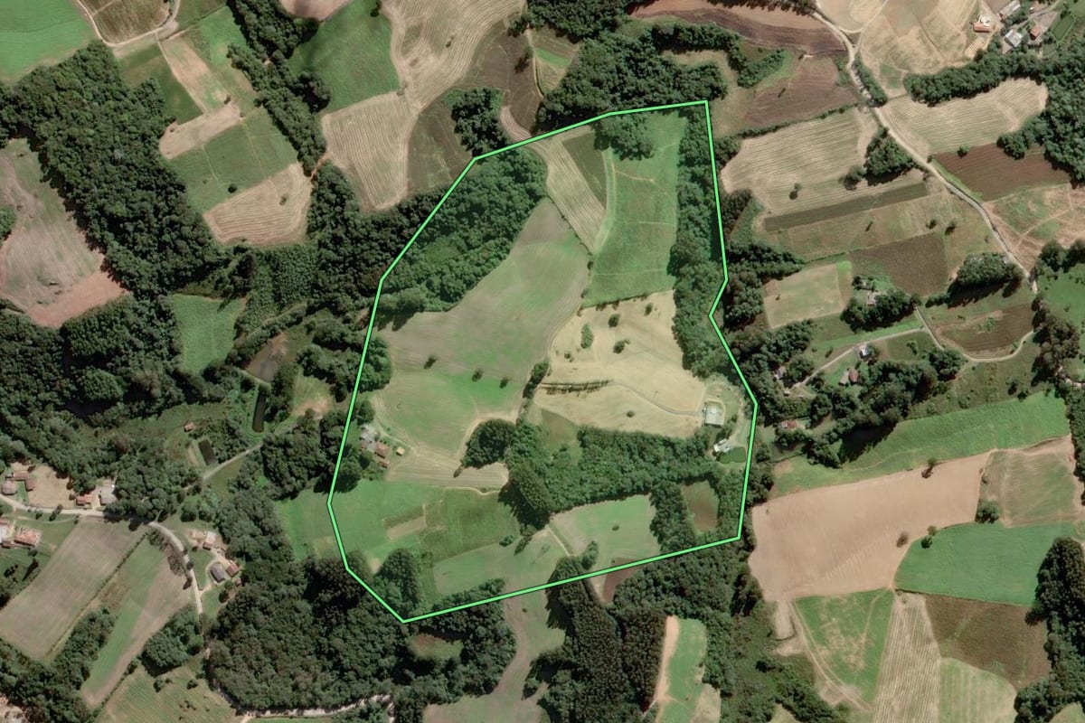 Imagem de satélite do imóvel rural em Piên (PR), com o contorno declarado no CAR desenhado por cima.