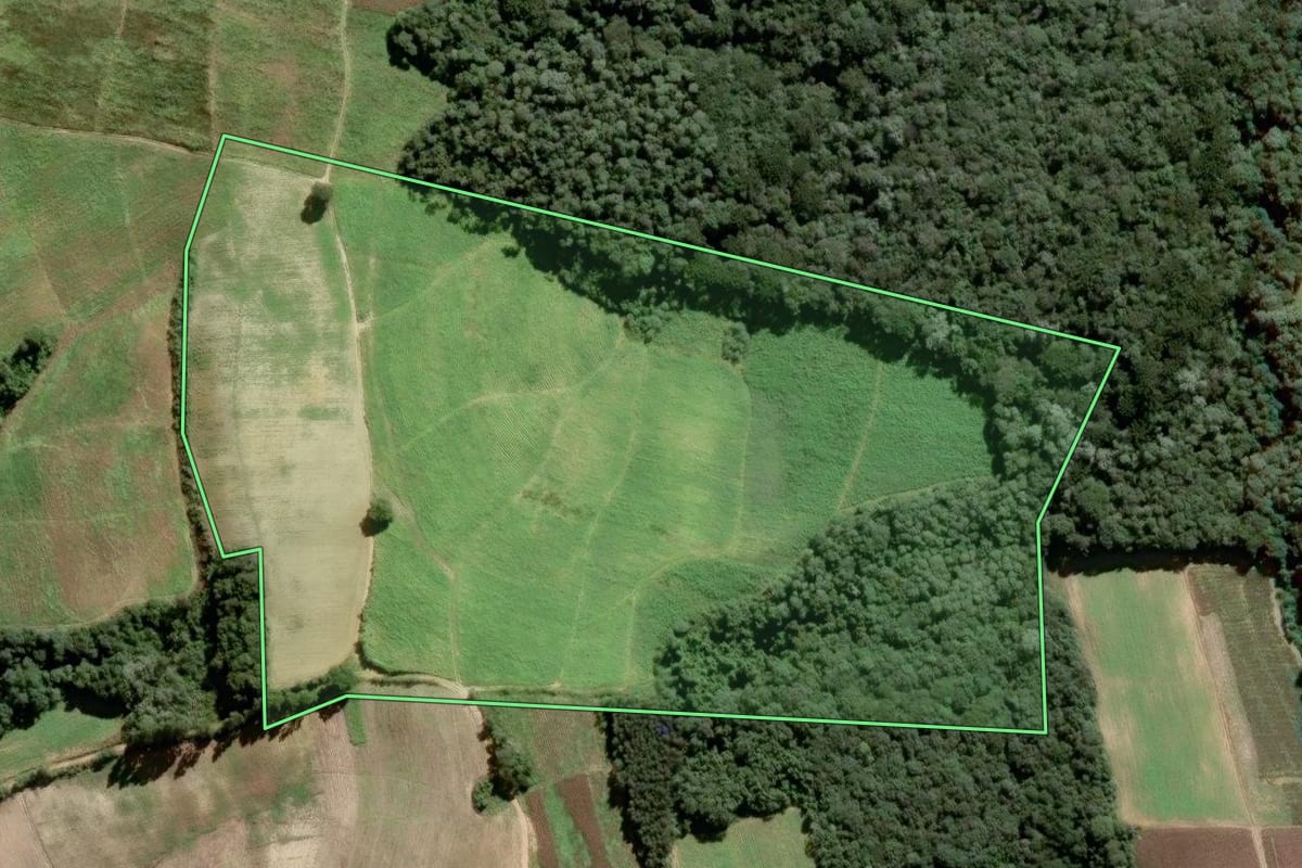 Imagem de satélite do imóvel rural em Piên (PR), com o contorno declarado no CAR desenhado por cima.