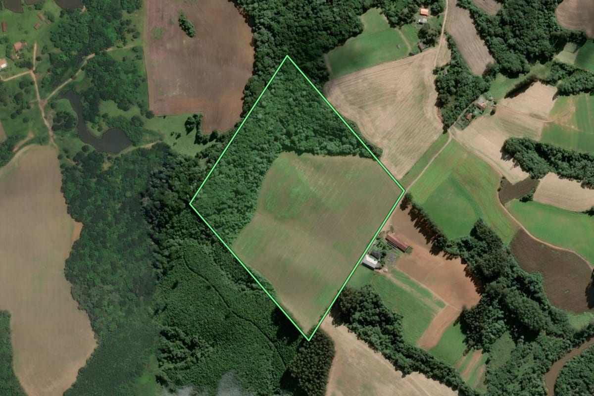 Imagem de satélite do imóvel rural em Piên (PR), com o contorno declarado no CAR desenhado por cima.