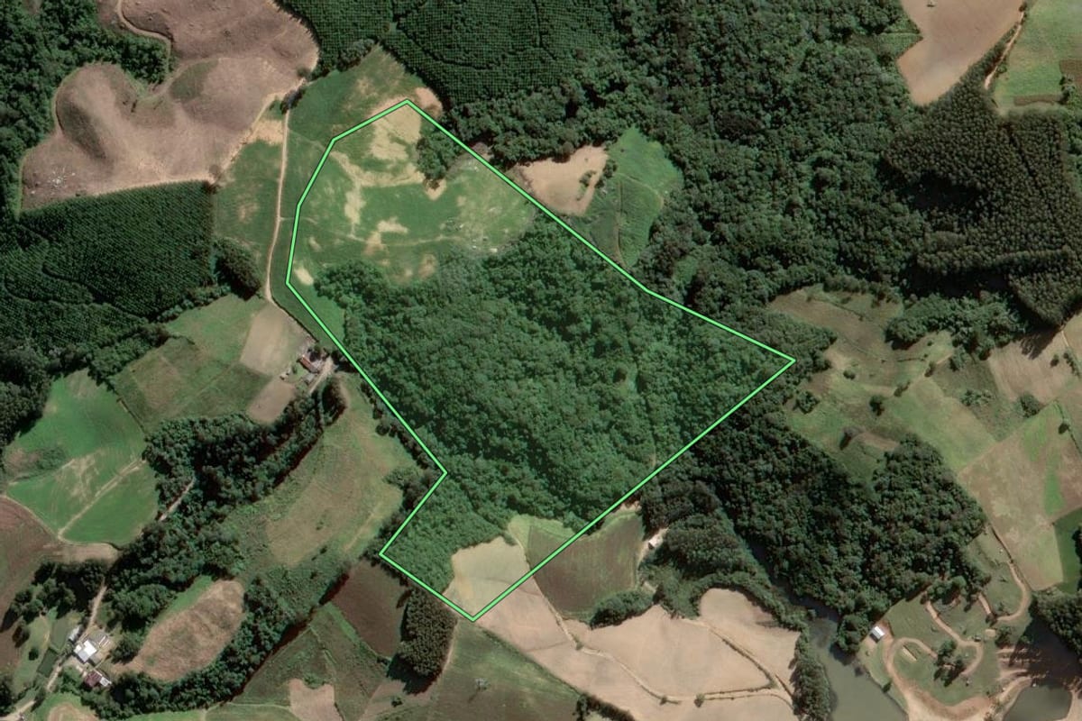 Imagem de satélite do imóvel rural em Piên (PR), com o contorno declarado no CAR desenhado por cima.