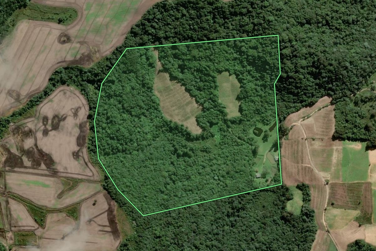 Imagem de satélite do imóvel rural em Piên (PR), com o contorno declarado no CAR desenhado por cima.