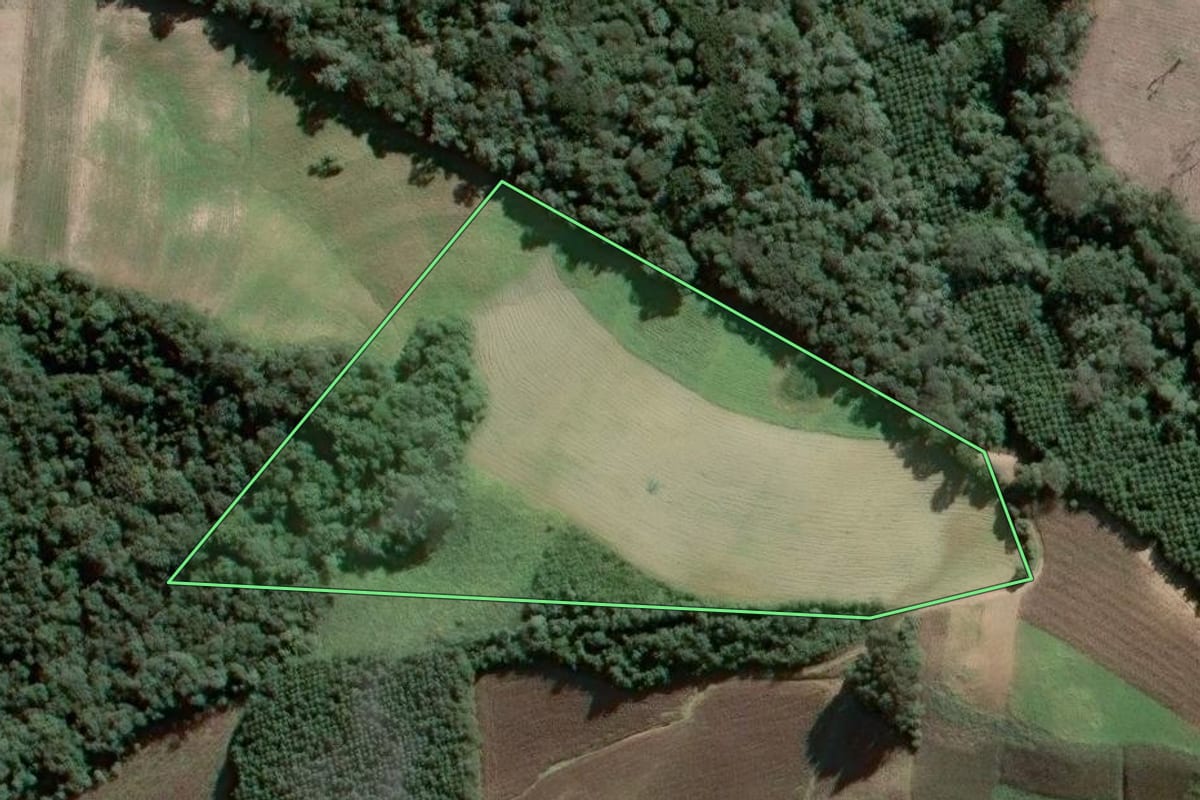 Imagem de satélite do imóvel rural em Piên (PR), com o contorno declarado no CAR desenhado por cima.