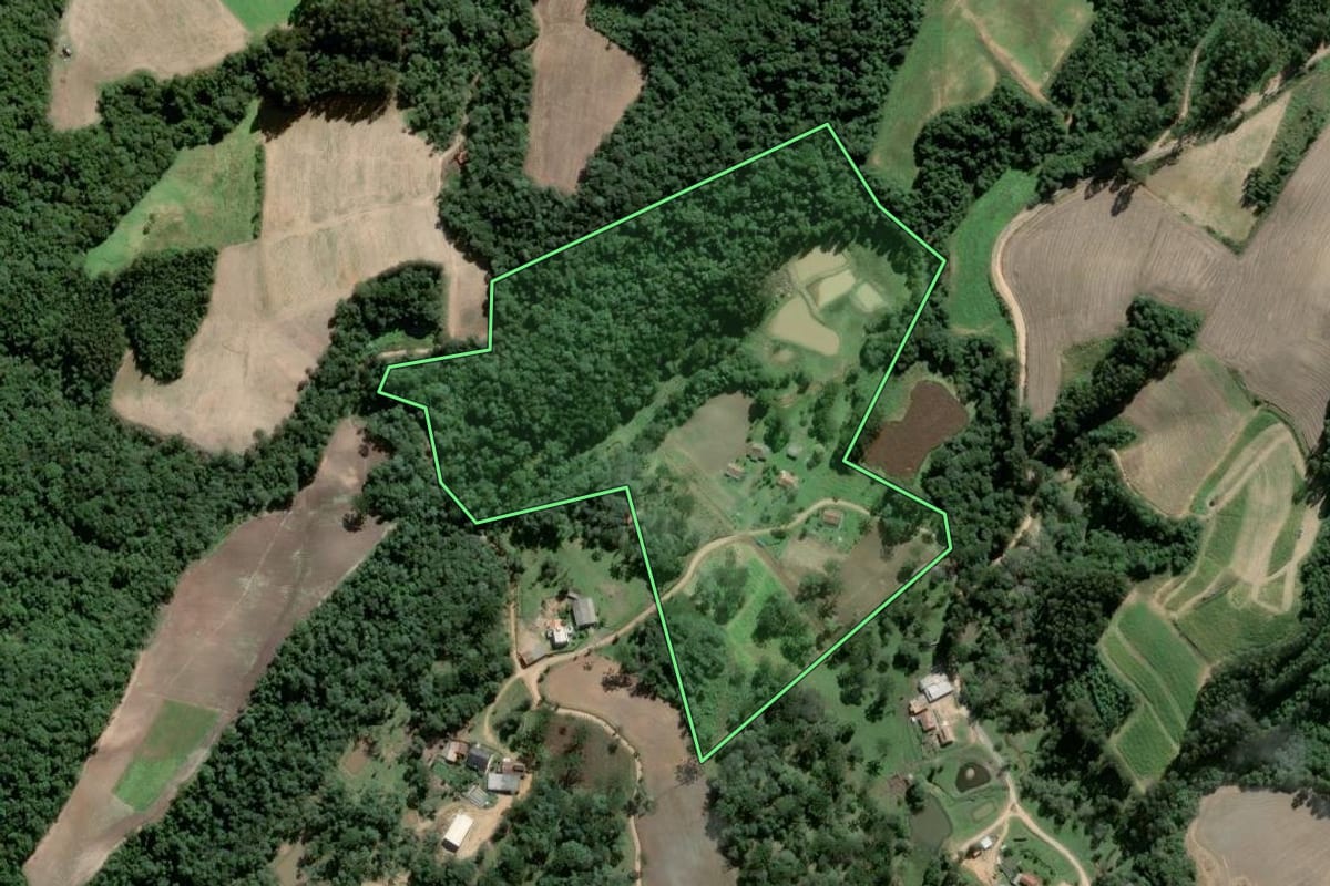 Imagem de satélite do imóvel rural em Piên (PR), com o contorno declarado no CAR desenhado por cima.
