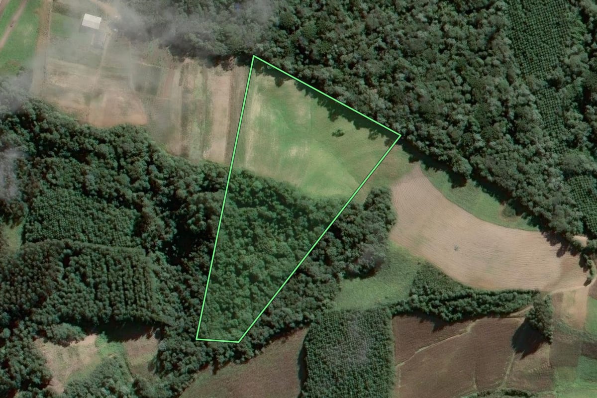 Imagem de satélite do imóvel rural em Piên (PR), com o contorno declarado no CAR desenhado por cima.