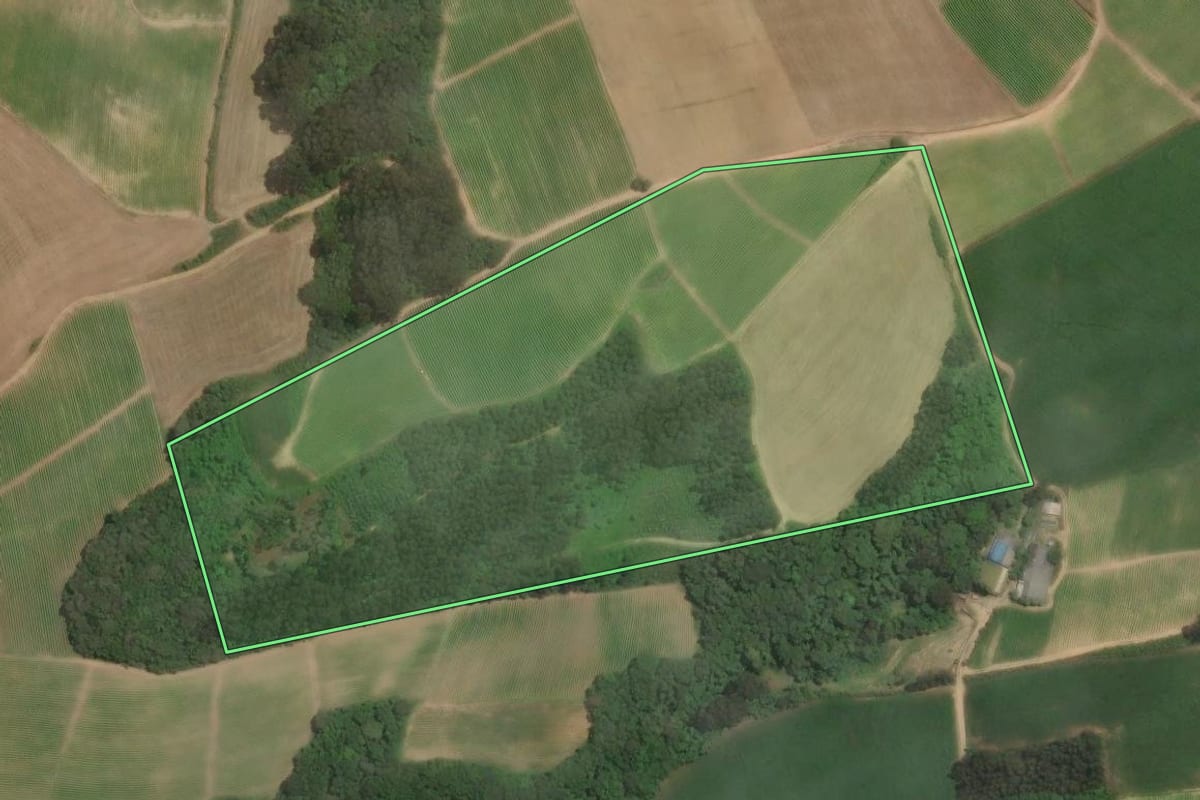 Imagem de satélite do imóvel rural em Piên (PR), com o contorno declarado no CAR desenhado por cima.