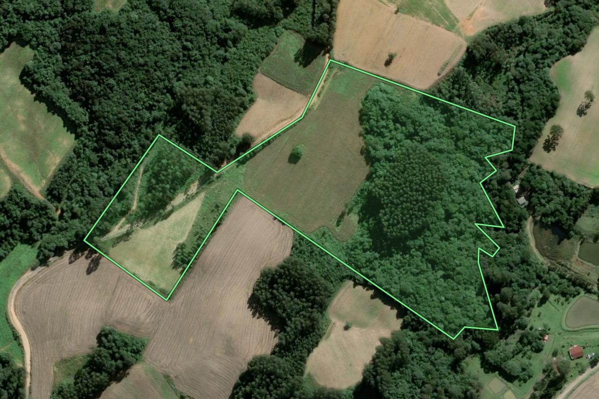 Imagem de satélite do imóvel rural em Piên (PR), com o contorno declarado no CAR desenhado por cima.