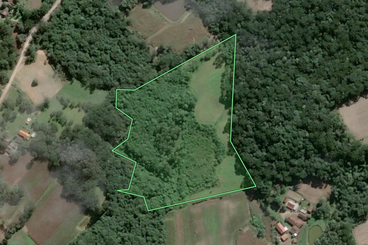 Imagem de satélite do imóvel rural em Piên (PR), com o contorno declarado no CAR desenhado por cima.