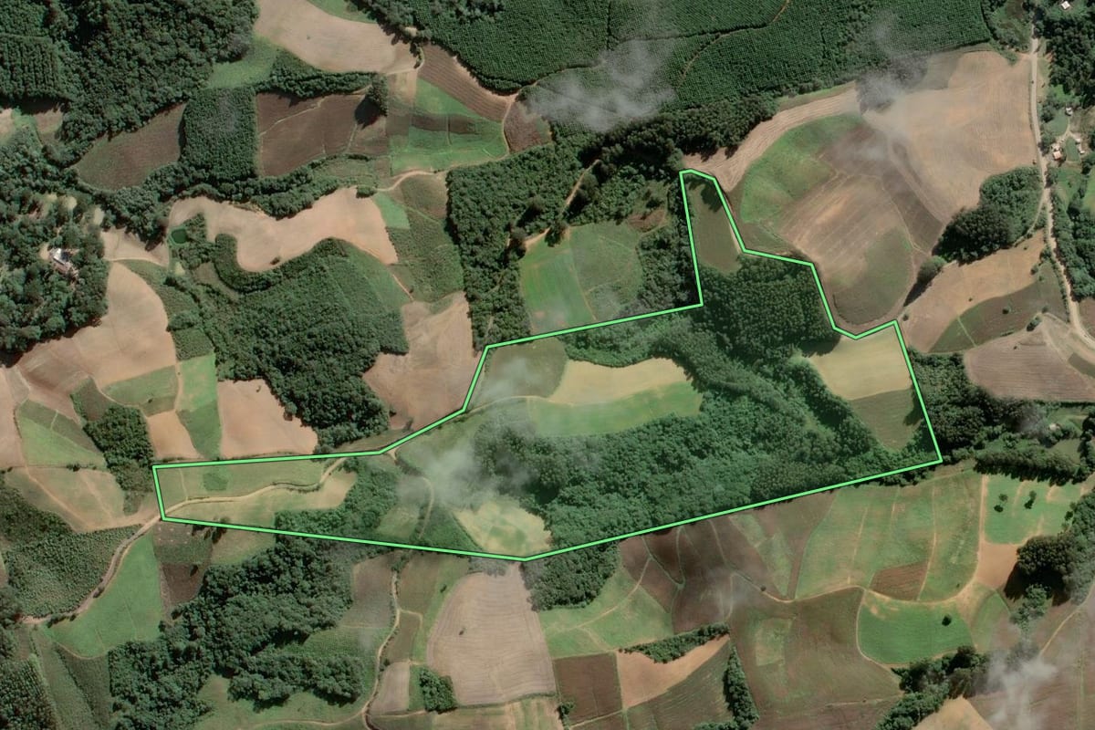 Imagem de satélite do imóvel rural em Piên (PR), com o contorno declarado no CAR desenhado por cima.