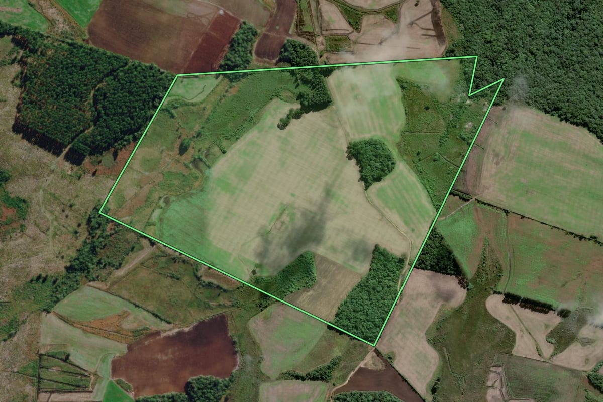 Imagem de satélite do imóvel rural em Piên (PR), com o contorno declarado no CAR desenhado por cima.
