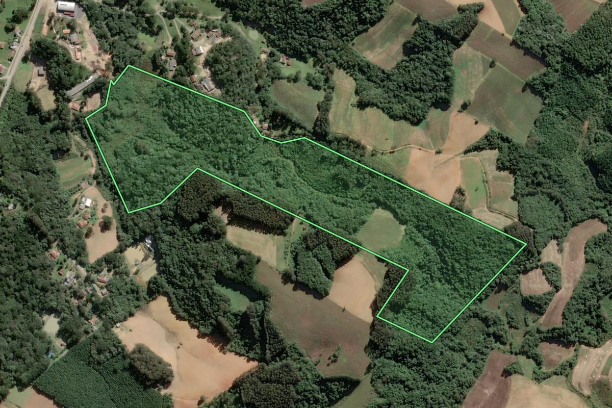 Imagem de satélite do imóvel rural em Piên (PR), com o contorno declarado no CAR desenhado por cima.