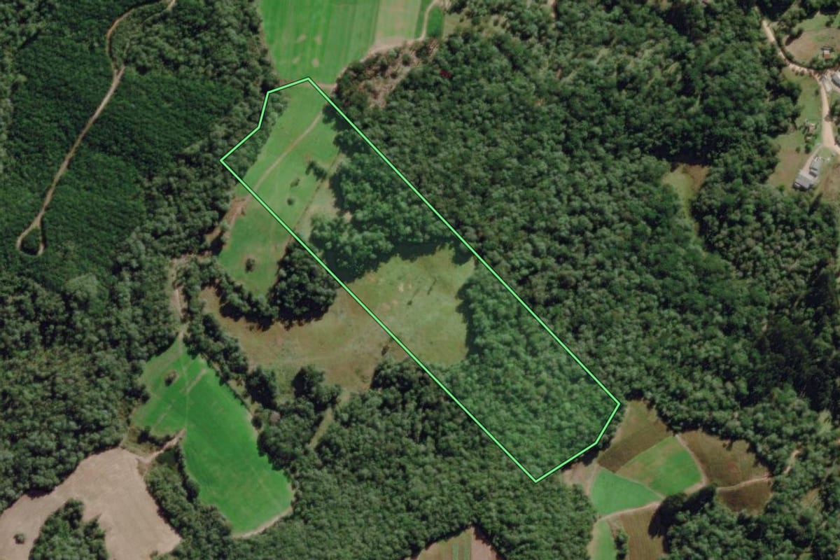 Imagem de satélite do imóvel rural em Piên (PR), com o contorno declarado no CAR desenhado por cima.