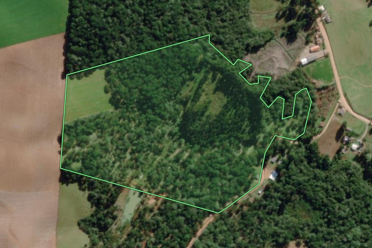 Imagem de satélite do imóvel rural em Piên (PR), com o contorno declarado no CAR desenhado por cima.