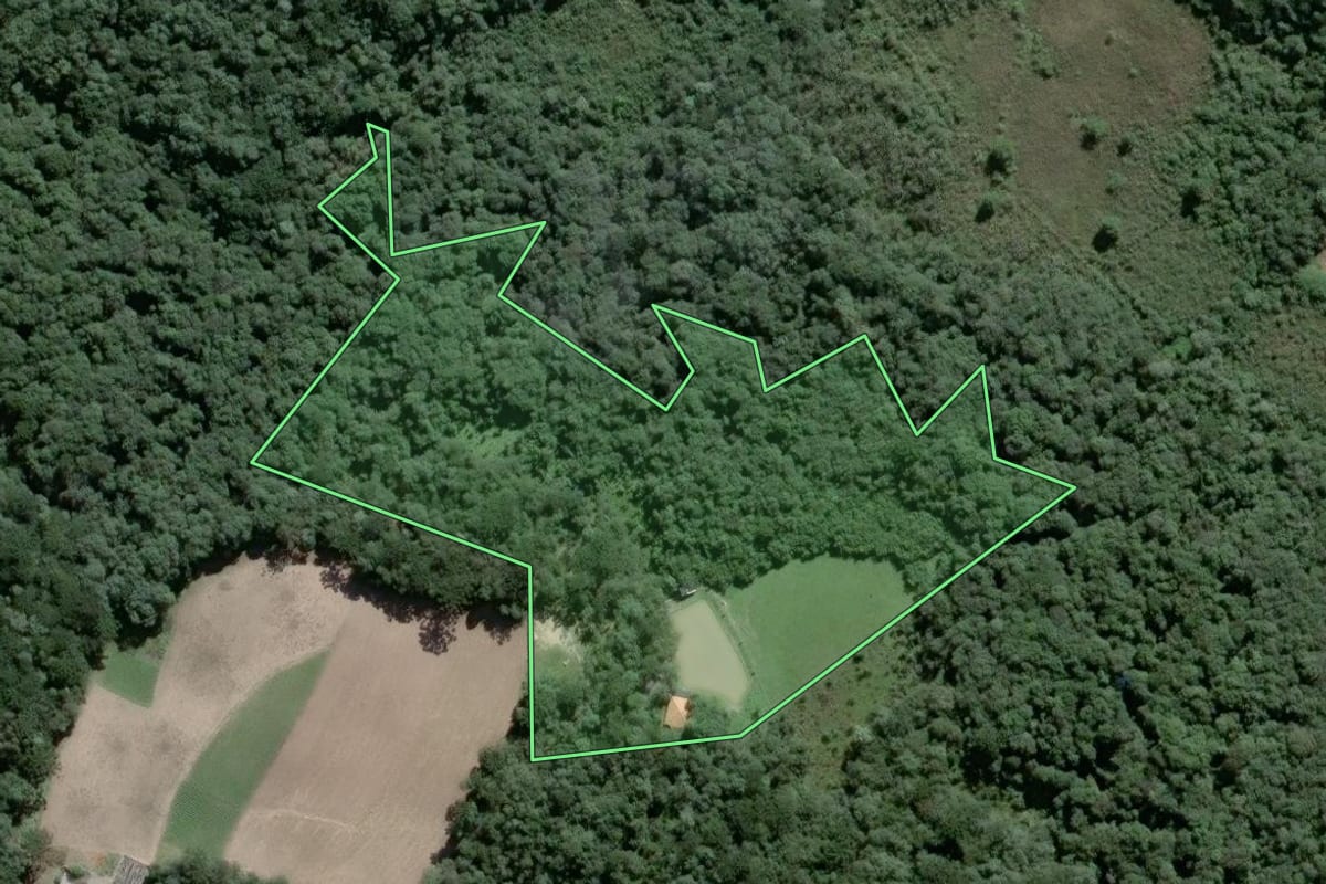 Imagem de satélite do imóvel rural em Piên (PR), com o contorno declarado no CAR desenhado por cima.