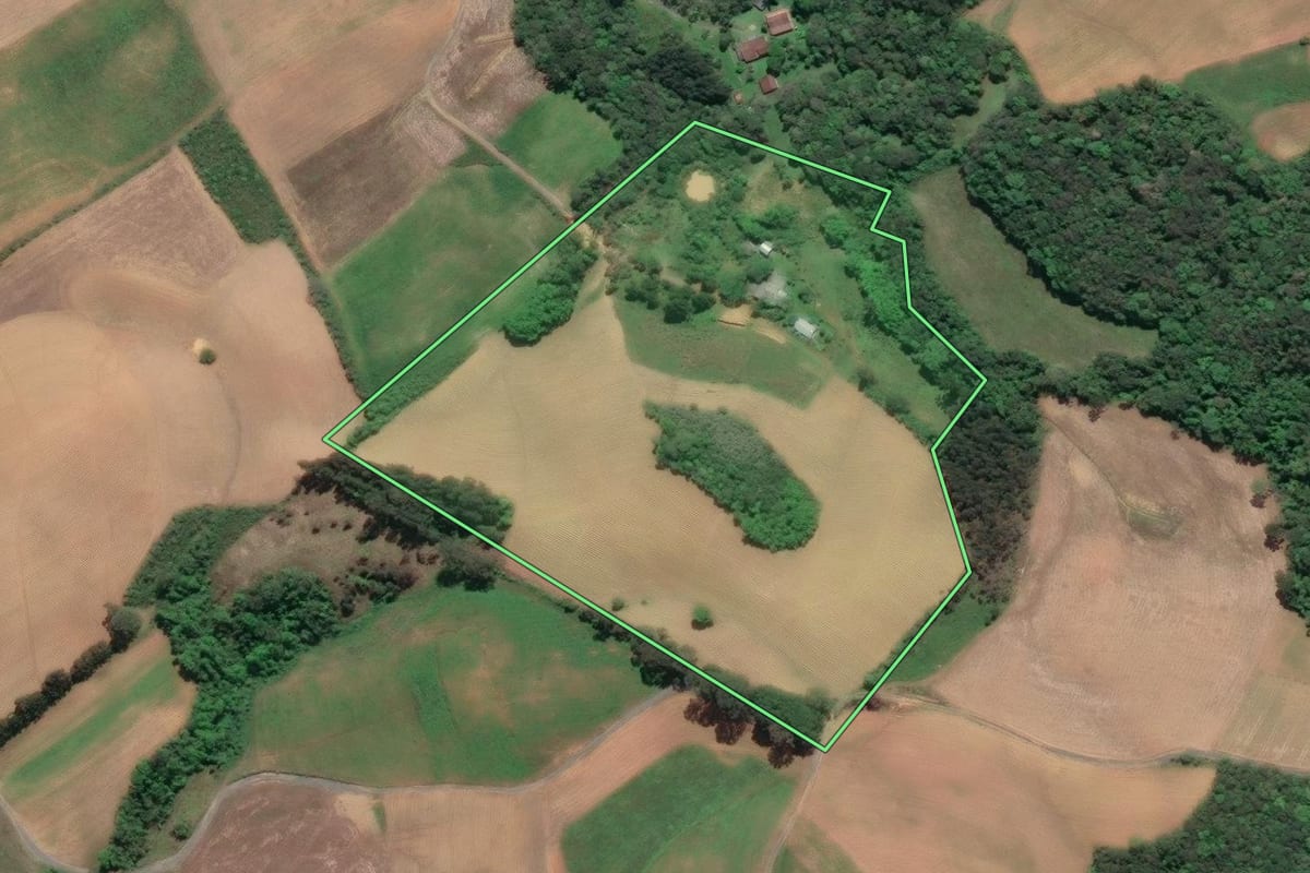 Imagem de satélite do imóvel rural em Piên (PR), com o contorno declarado no CAR desenhado por cima.