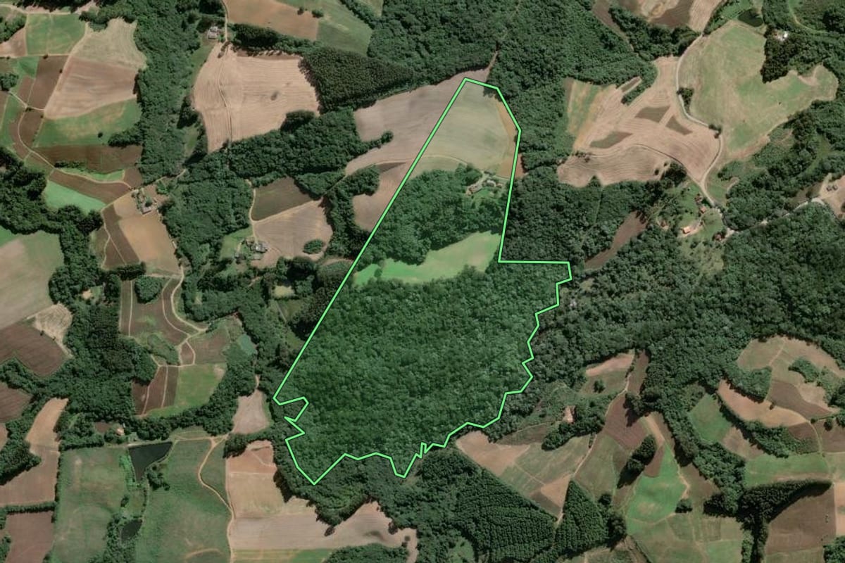 Imagem de satélite do imóvel rural em Piên (PR), com o contorno declarado no CAR desenhado por cima.