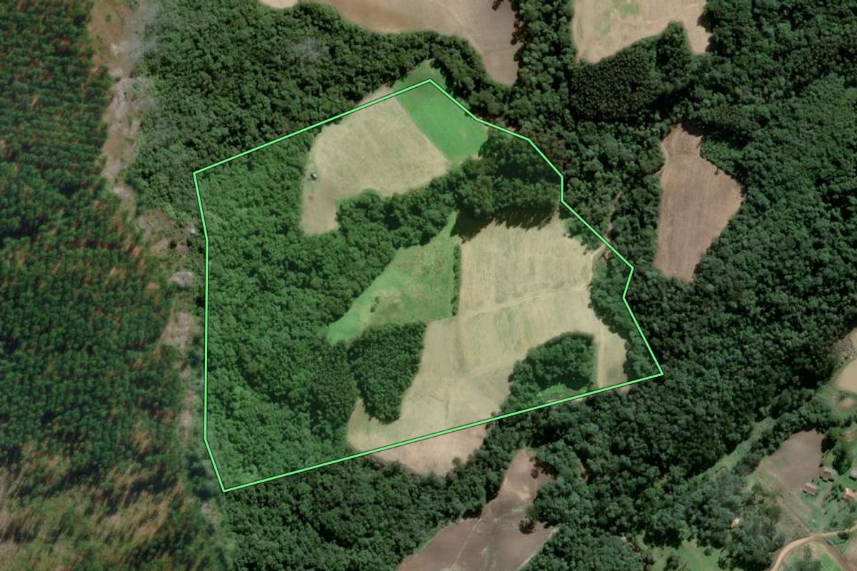Imagem de satélite do imóvel rural em Piên (PR), com o contorno declarado no CAR desenhado por cima.