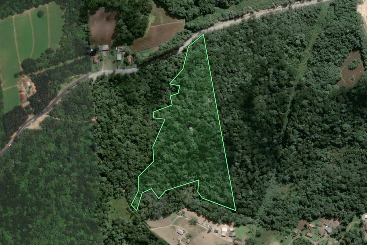 Imagem de satélite do imóvel rural em Piên (PR), com o contorno declarado no CAR desenhado por cima.