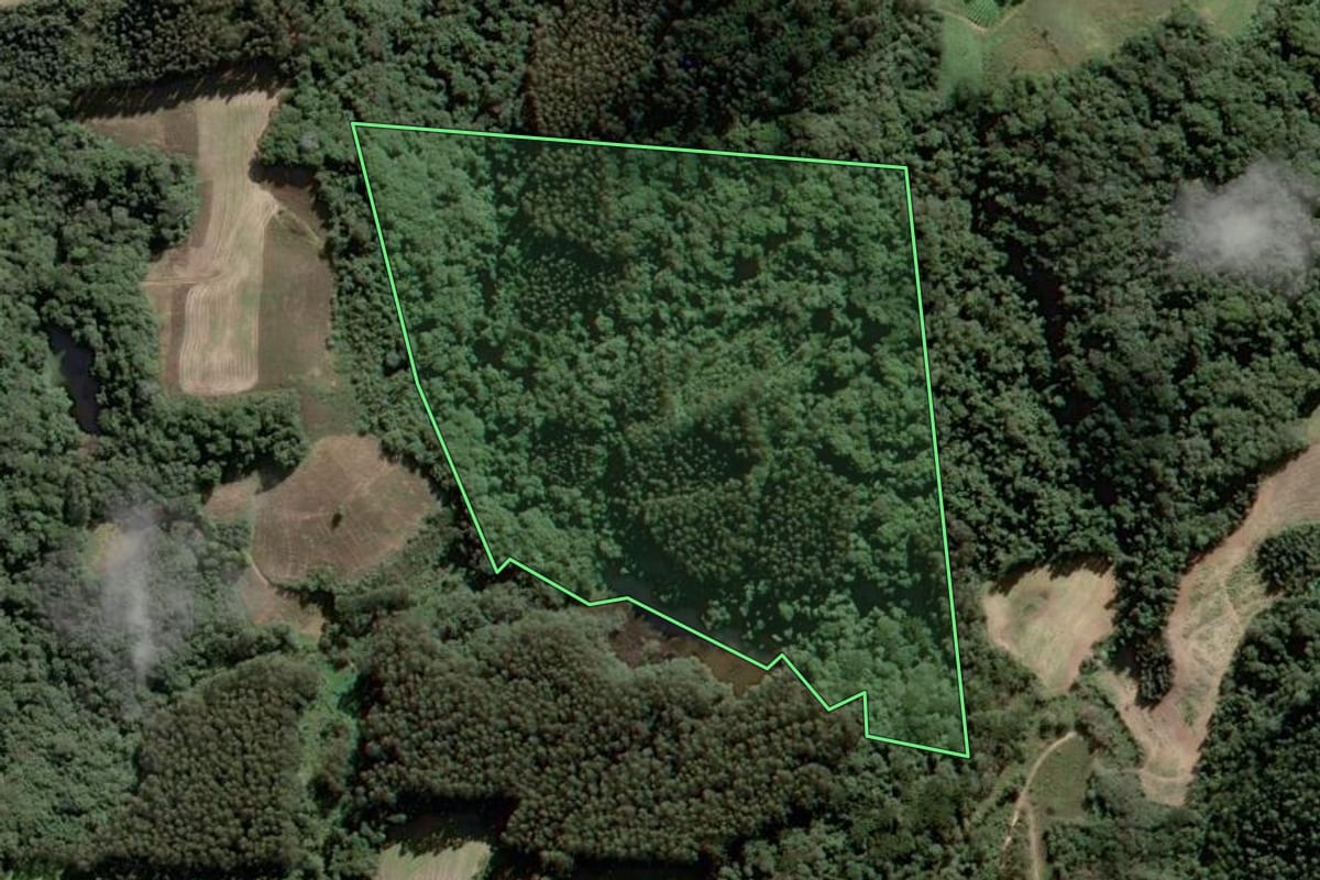 Imagem de satélite do imóvel rural em Piên (PR), com o contorno declarado no CAR desenhado por cima.