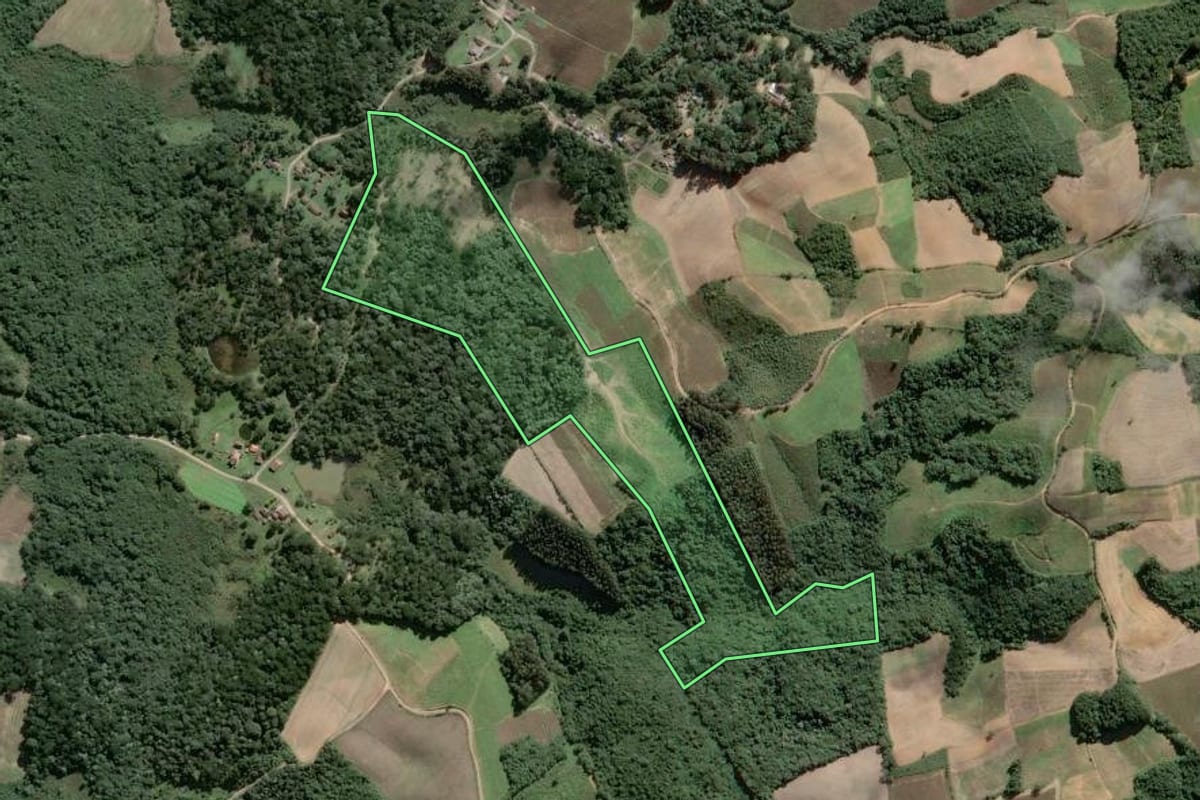 Imagem de satélite do imóvel rural em Piên (PR), com o contorno declarado no CAR desenhado por cima.