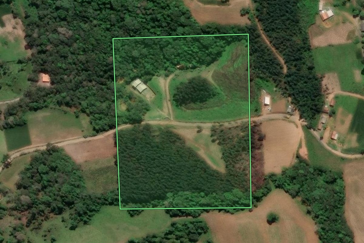 Imagem de satélite do imóvel rural em Piên (PR), com o contorno declarado no CAR desenhado por cima.