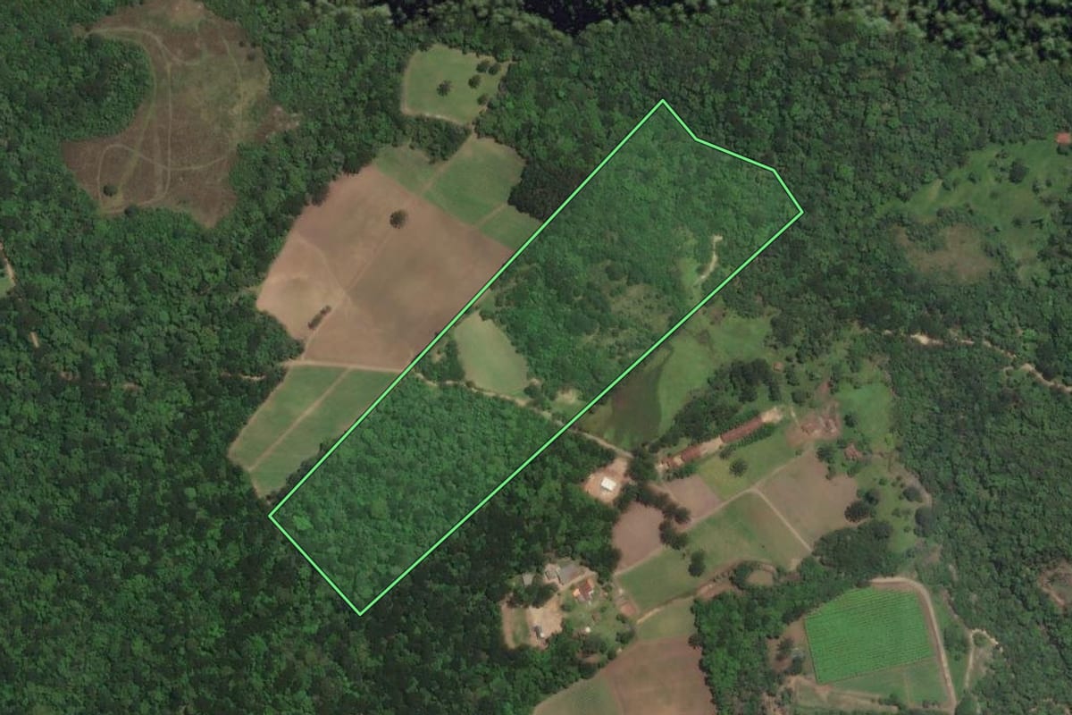 Imagem de satélite do imóvel rural em Piên (PR), com o contorno declarado no CAR desenhado por cima.