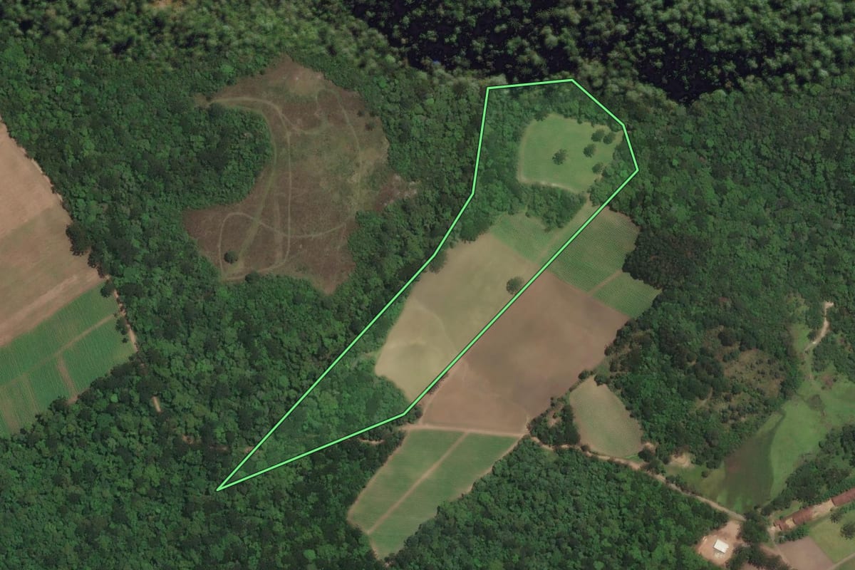 Imagem de satélite do imóvel rural em Piên (PR), com o contorno declarado no CAR desenhado por cima.