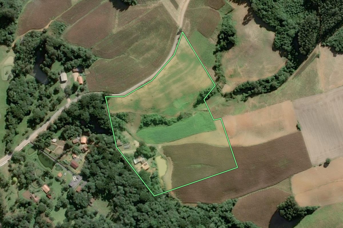 Imagem de satélite do imóvel rural em Piên (PR), com o contorno declarado no CAR desenhado por cima.