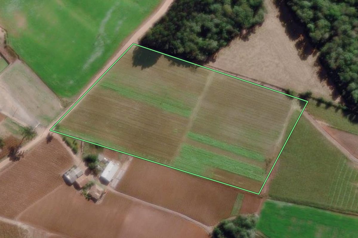 Imagem de satélite do imóvel rural em Piên (PR), com o contorno declarado no CAR desenhado por cima.