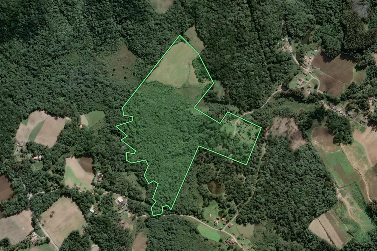 Imagem de satélite do imóvel rural em Piên (PR), com o contorno declarado no CAR desenhado por cima.