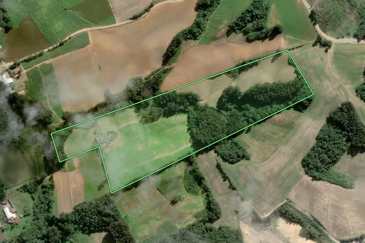 Imagem de satélite do imóvel rural em Piên (PR), com o contorno declarado no CAR desenhado por cima.