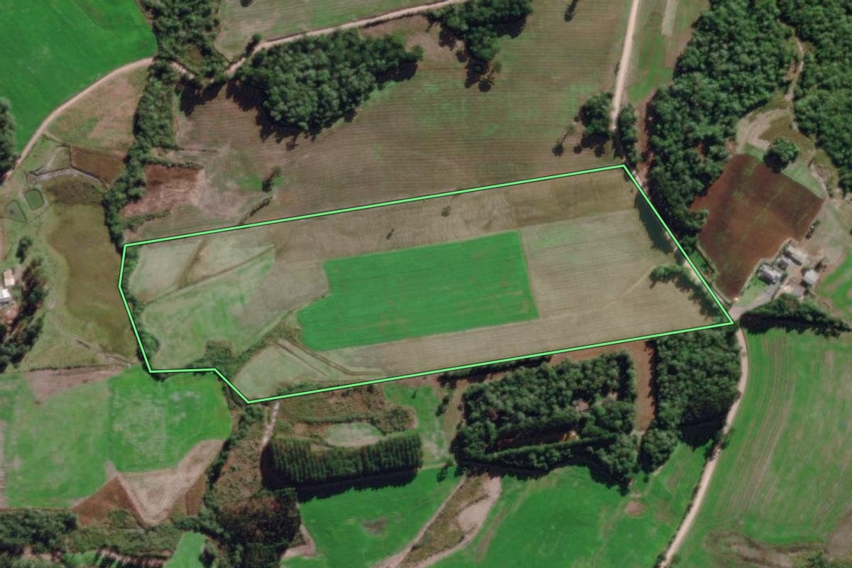 Imagem de satélite do imóvel rural em Piên (PR), com o contorno declarado no CAR desenhado por cima.