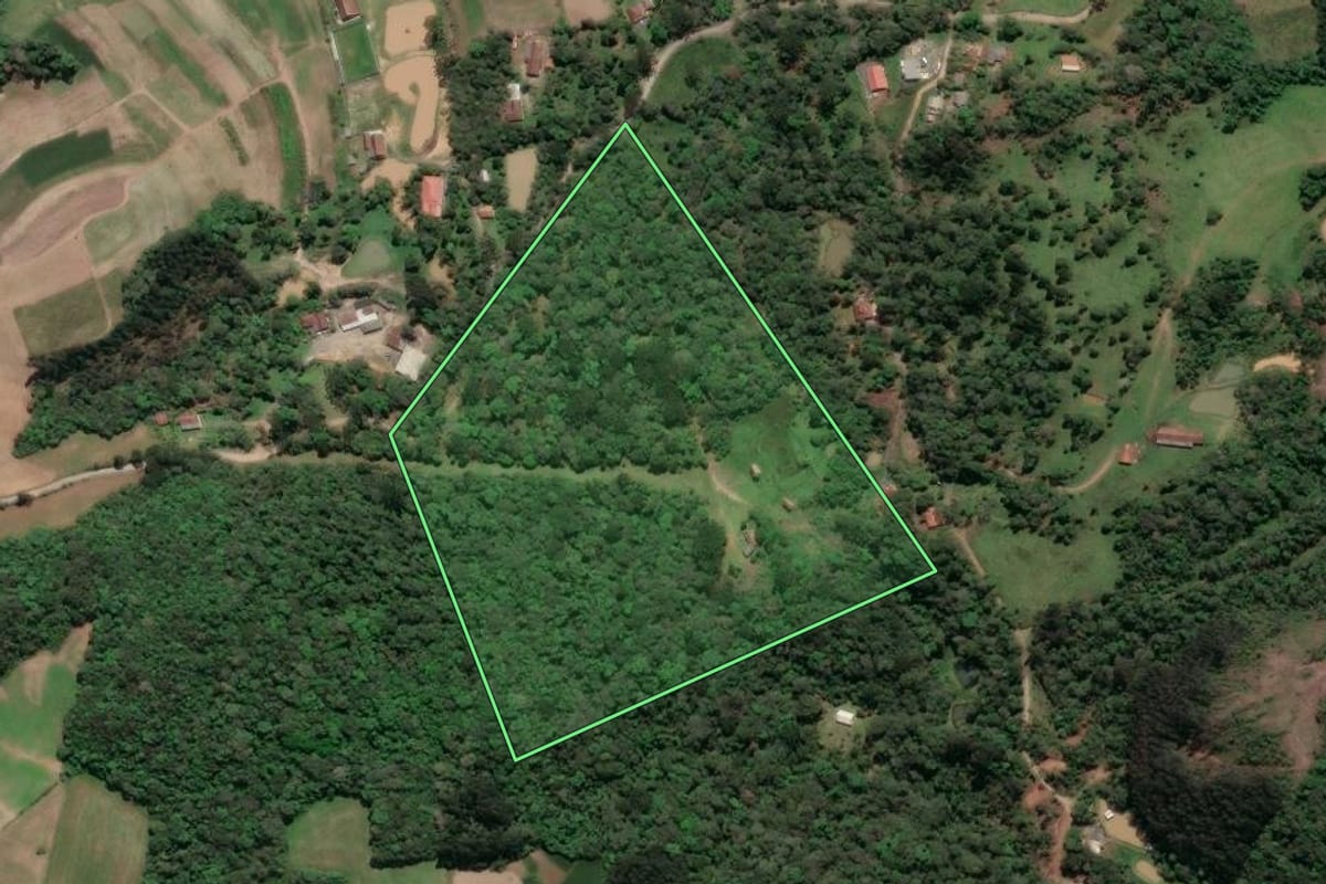 Imagem de satélite do imóvel rural em Piên (PR), com o contorno declarado no CAR desenhado por cima.