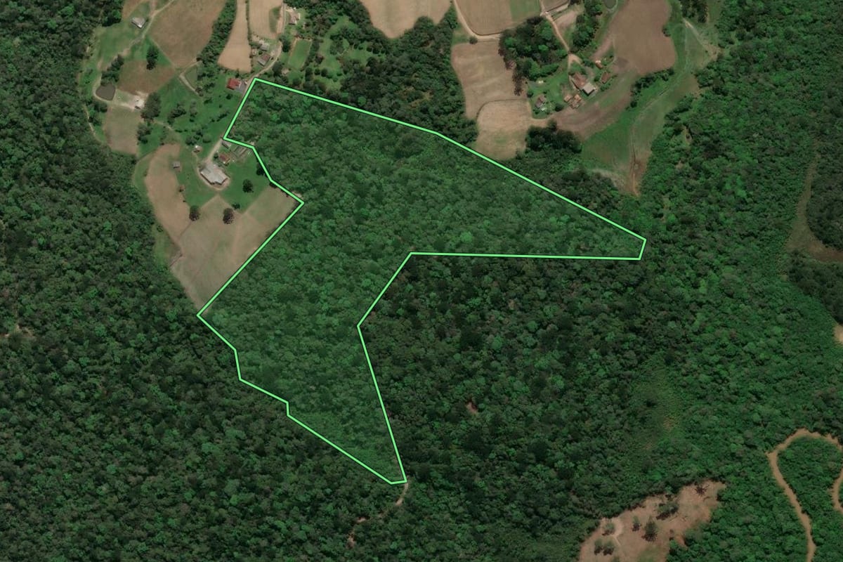 Imagem de satélite do imóvel rural em Piên (PR), com o contorno declarado no CAR desenhado por cima.