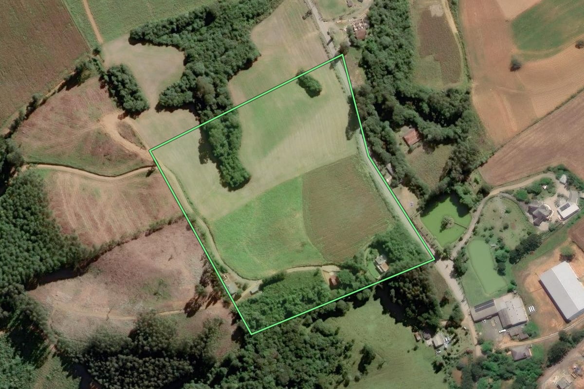 Imagem de satélite do imóvel rural em Piên (PR), com o contorno declarado no CAR desenhado por cima.