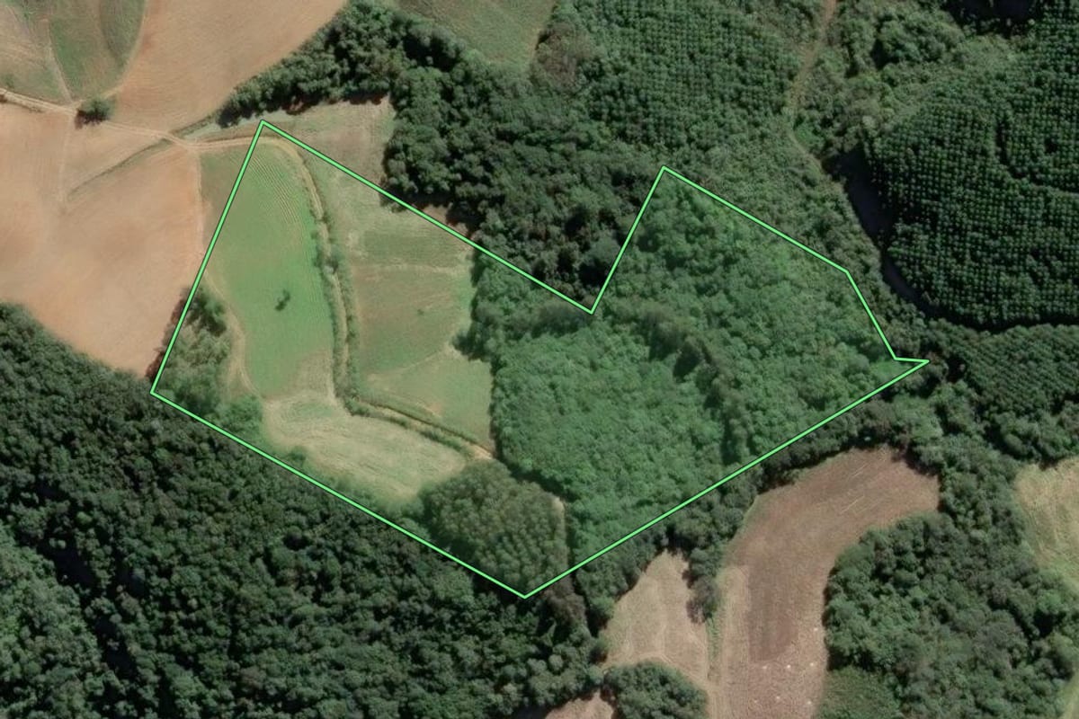 Imagem de satélite do imóvel rural em Piên (PR), com o contorno declarado no CAR desenhado por cima.