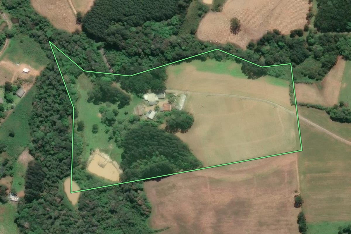 Imagem de satélite do imóvel rural em Piên (PR), com o contorno declarado no CAR desenhado por cima.