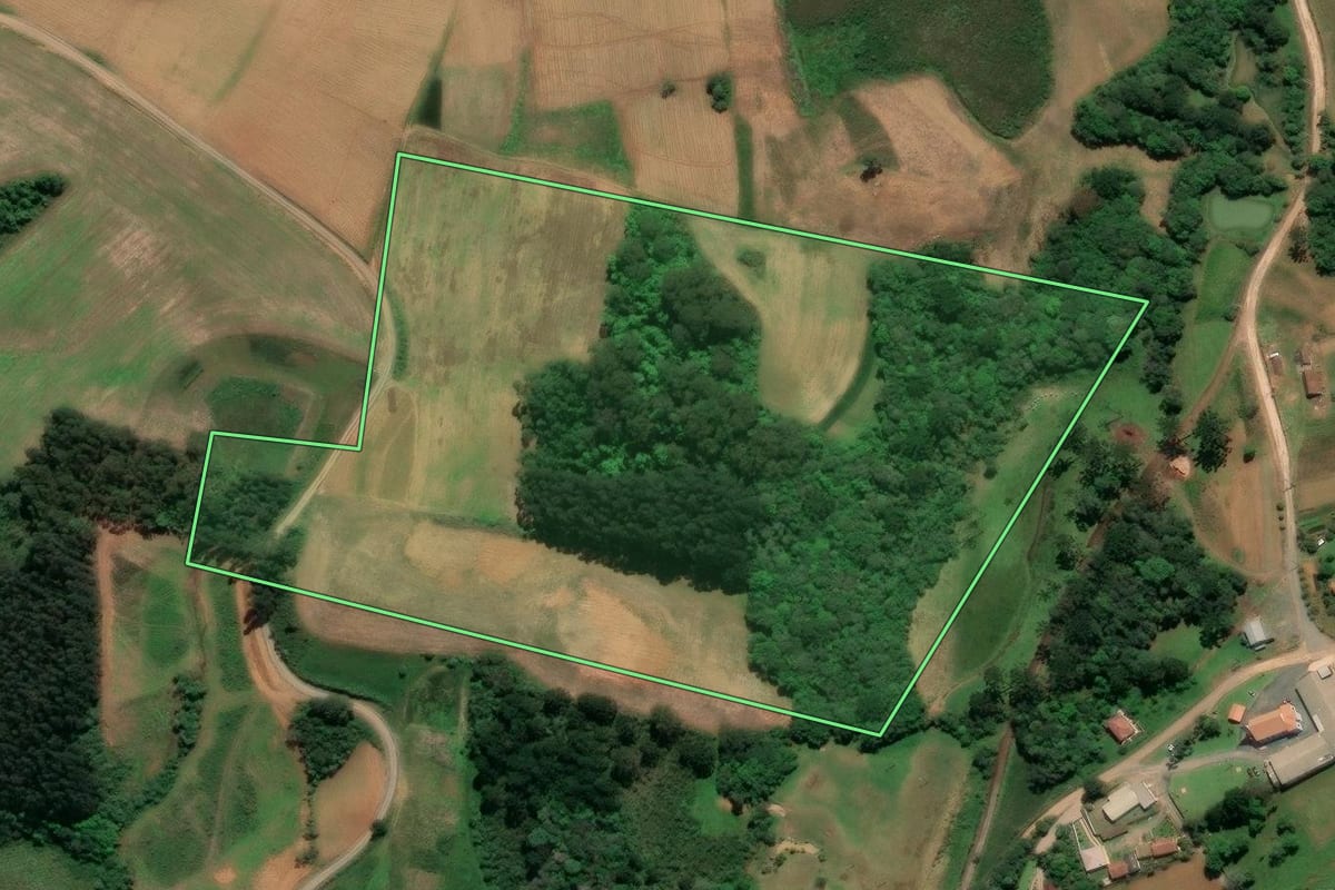 Imagem de satélite do imóvel rural em Piên (PR), com o contorno declarado no CAR desenhado por cima.