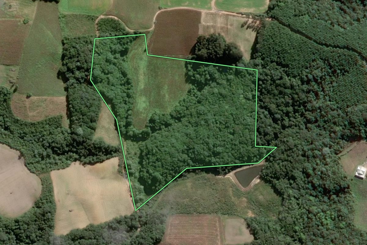Imagem de satélite do imóvel rural em Piên (PR), com o contorno declarado no CAR desenhado por cima.