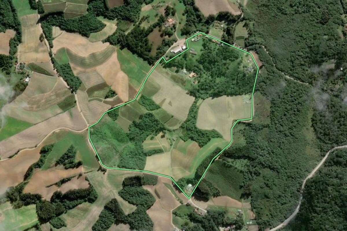 Imagem de satélite do imóvel rural em Piên (PR), com o contorno declarado no CAR desenhado por cima.