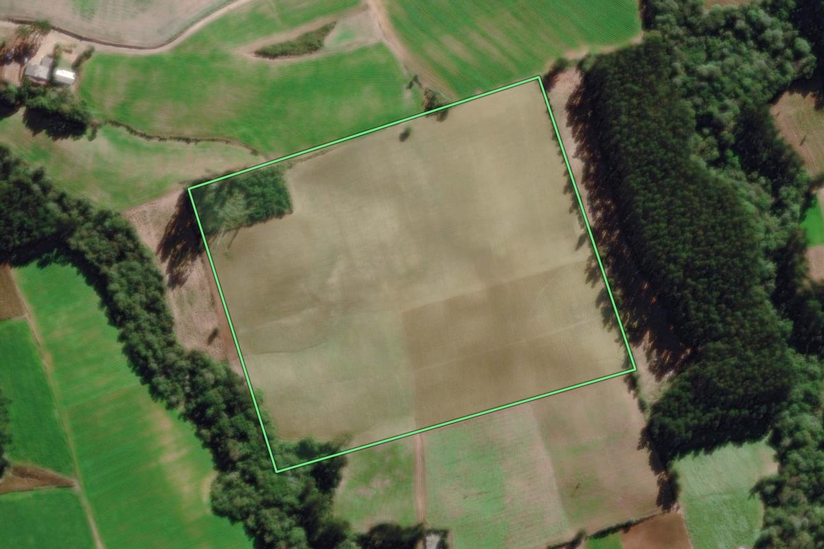 Imagem de satélite do imóvel rural em Piên (PR), com o contorno declarado no CAR desenhado por cima.