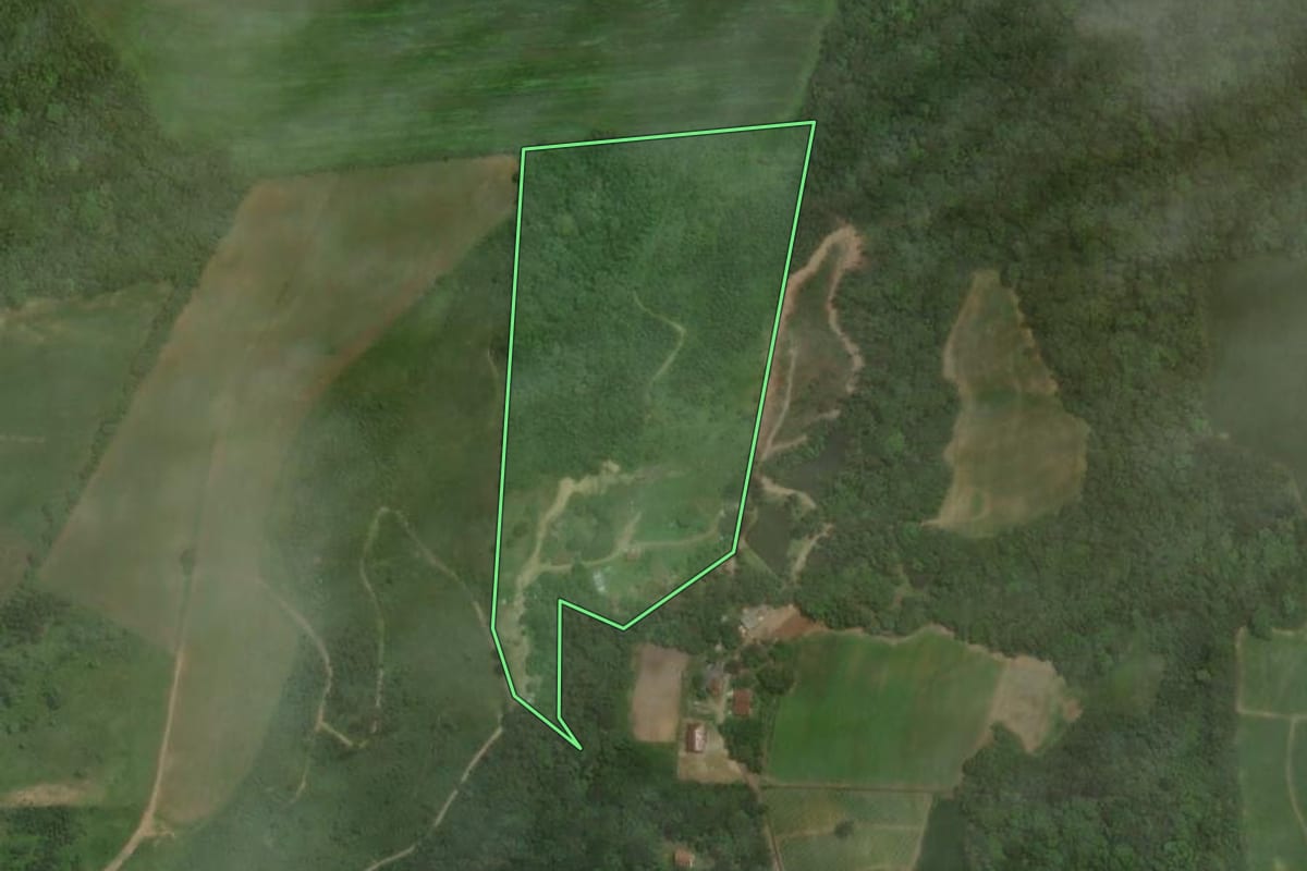 Imagem de satélite do imóvel rural em Piên (PR), com o contorno declarado no CAR desenhado por cima.