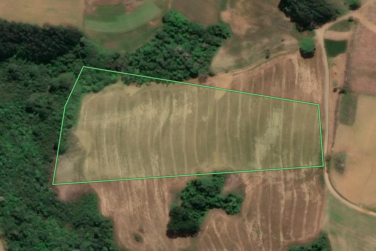 Imagem de satélite do imóvel rural em Piên (PR), com o contorno declarado no CAR desenhado por cima.