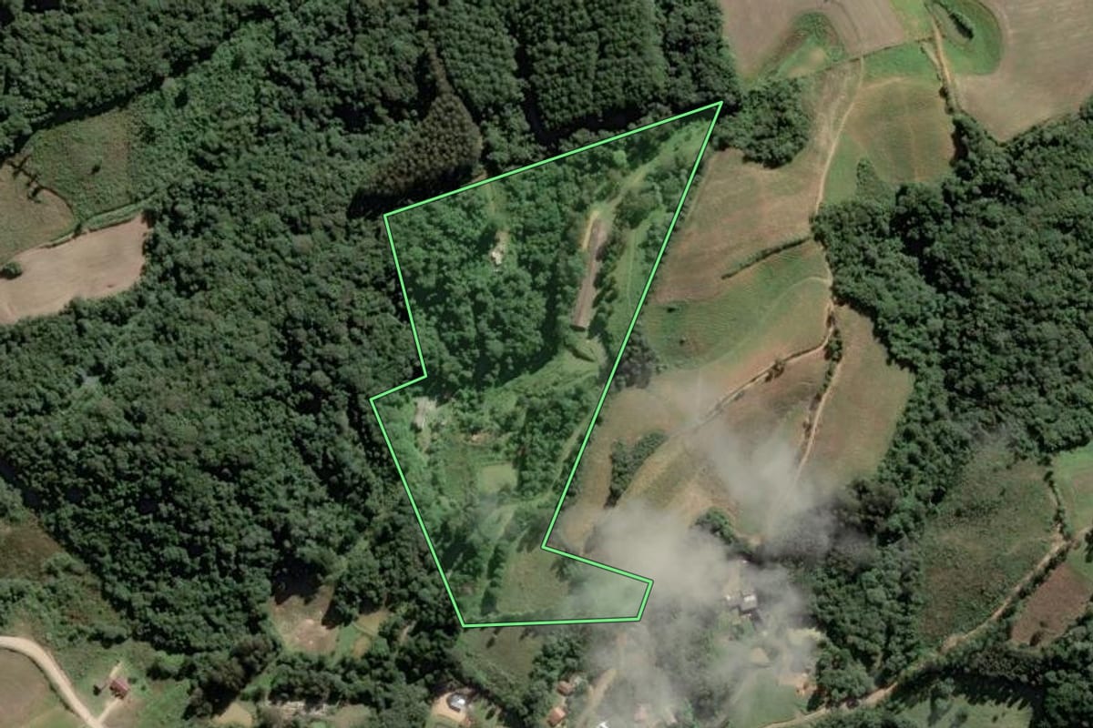 Imagem de satélite do imóvel rural em Piên (PR), com o contorno declarado no CAR desenhado por cima.