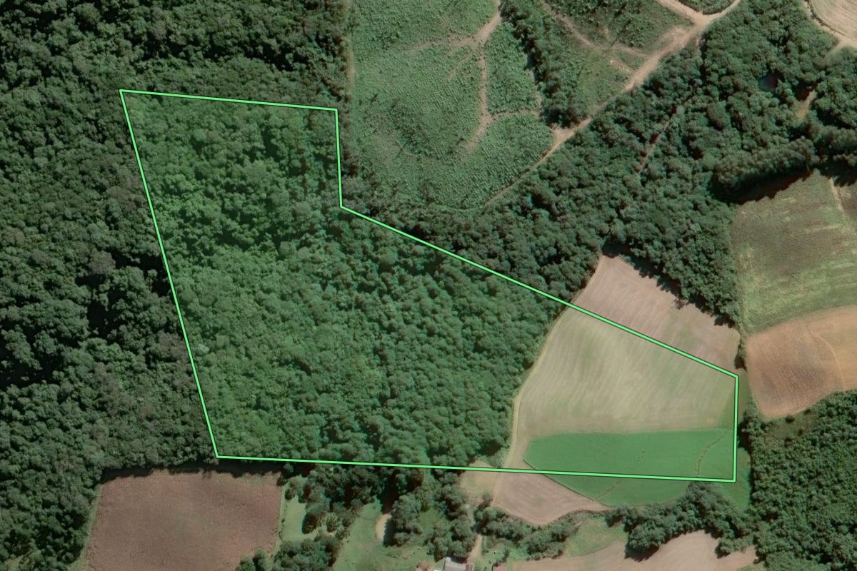 Imagem de satélite do imóvel rural em Piên (PR), com o contorno declarado no CAR desenhado por cima.