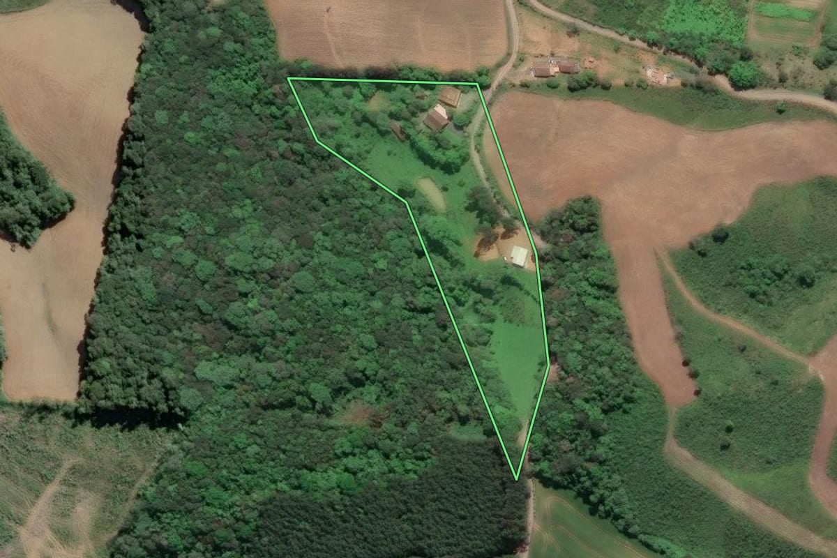 Imagem de satélite do imóvel rural em Piên (PR), com o contorno declarado no CAR desenhado por cima.
